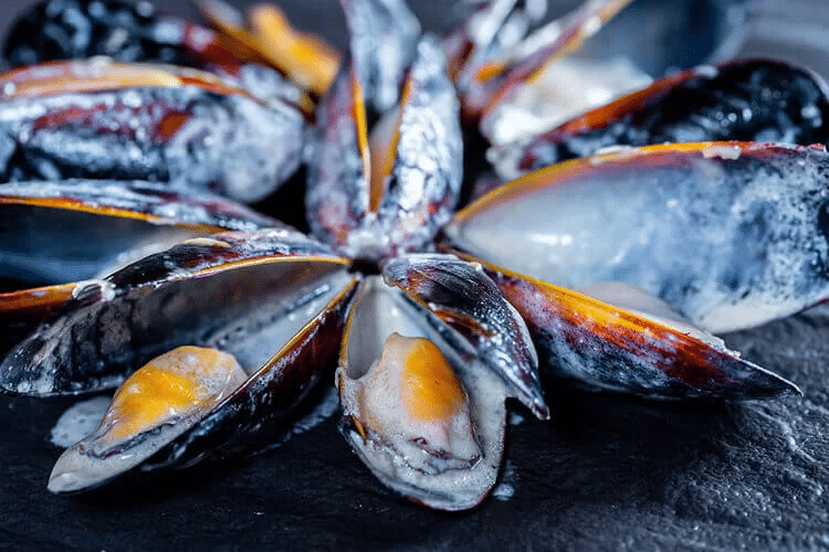 Comment Faire Cuire Des Moules Sans Coquille Maccla